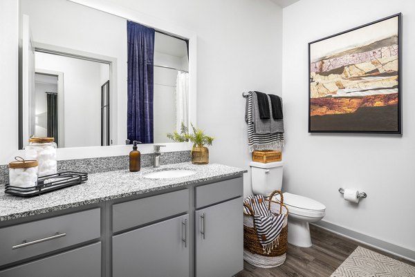 bathroom at Advenir at Mallory Lake Apartments