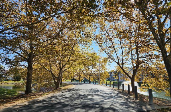 Neighborhood view surrounding Wylde at Eagle Creek Apartments, featuring tree-lined streets and pedestrian-friendly pathways