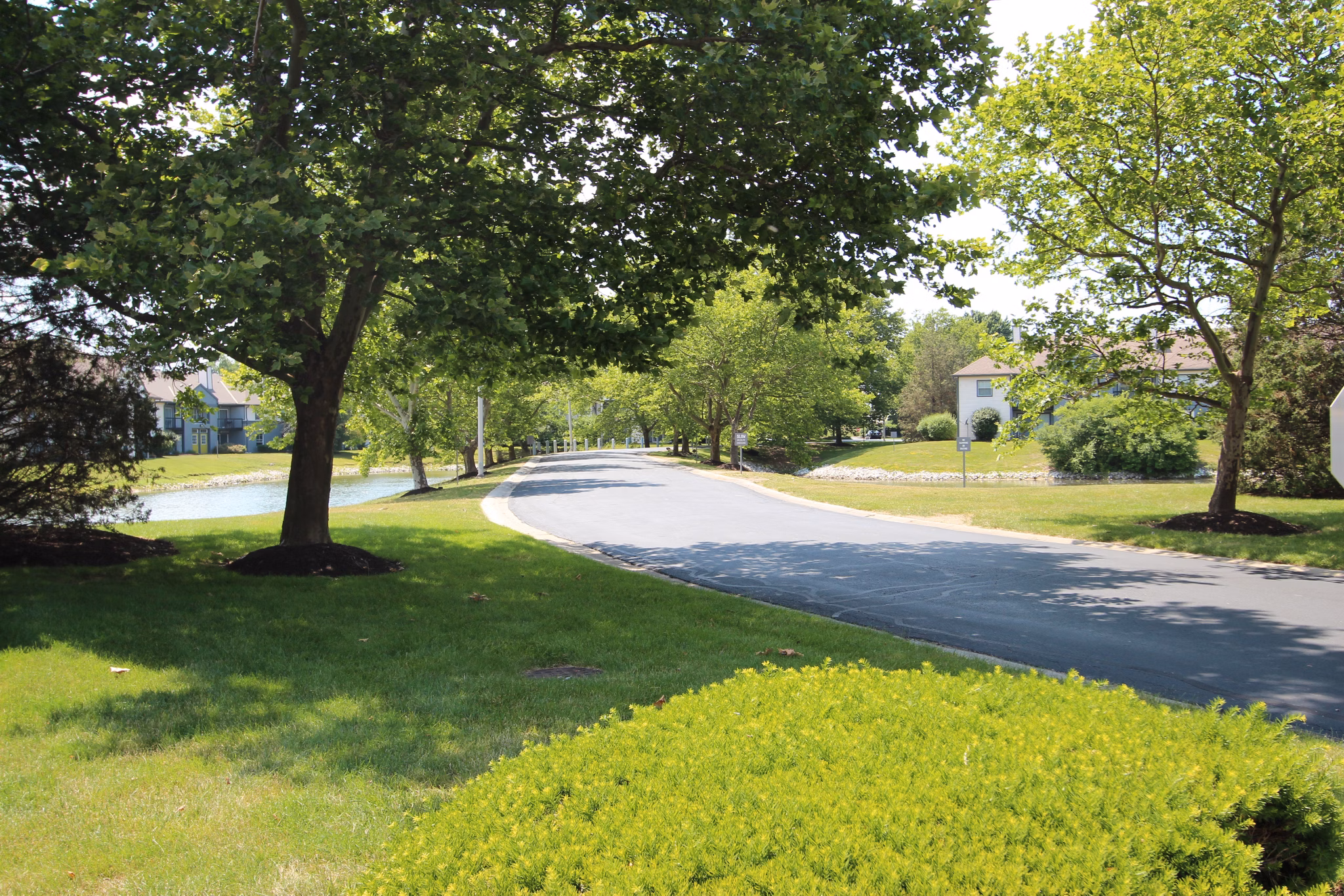Tree-lined pathways and community park in Wylde at Eagle Creek Apartments neighborhood