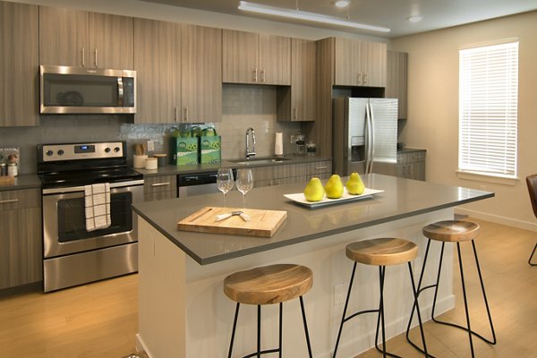 kitchen at Cycle Apartments