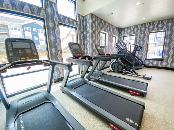 Fitness center with modern equipment at Lariat Apartments