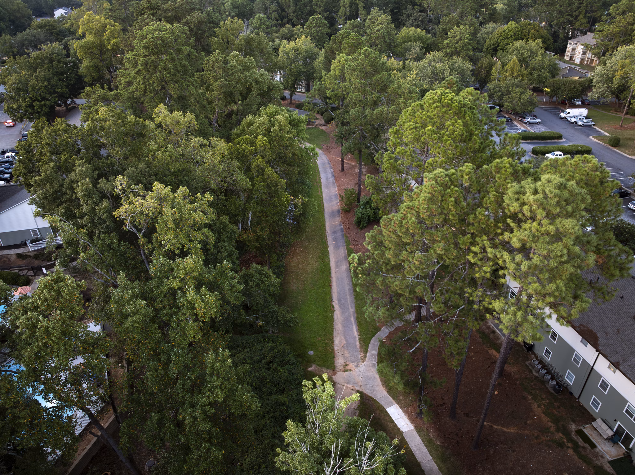 View at Ellwood Pines Apartments
