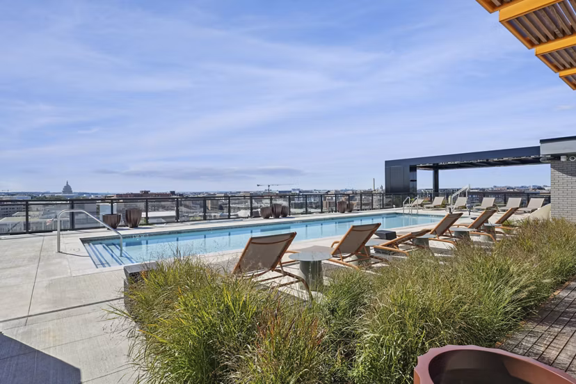 pool at The Iris Apartments 