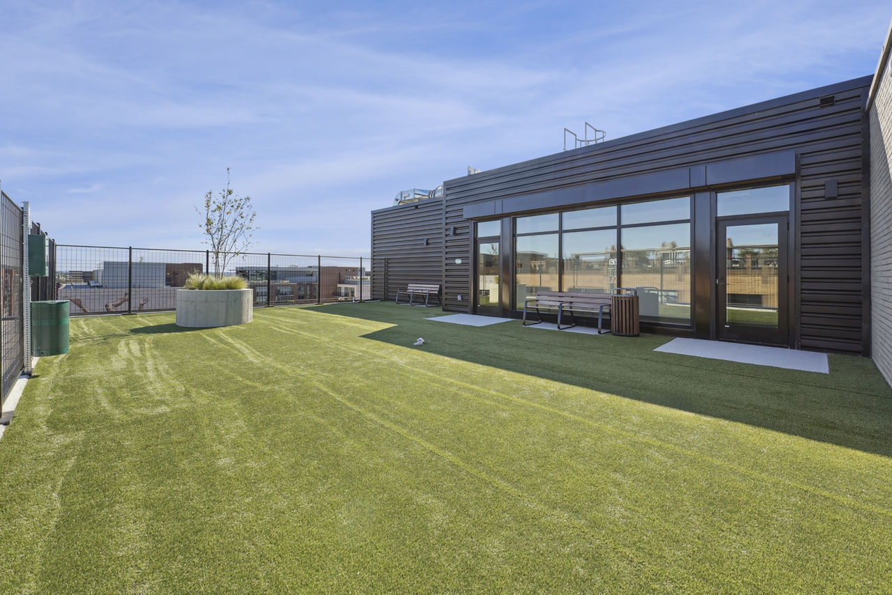 Roof deck at The Iris (4 of 4)