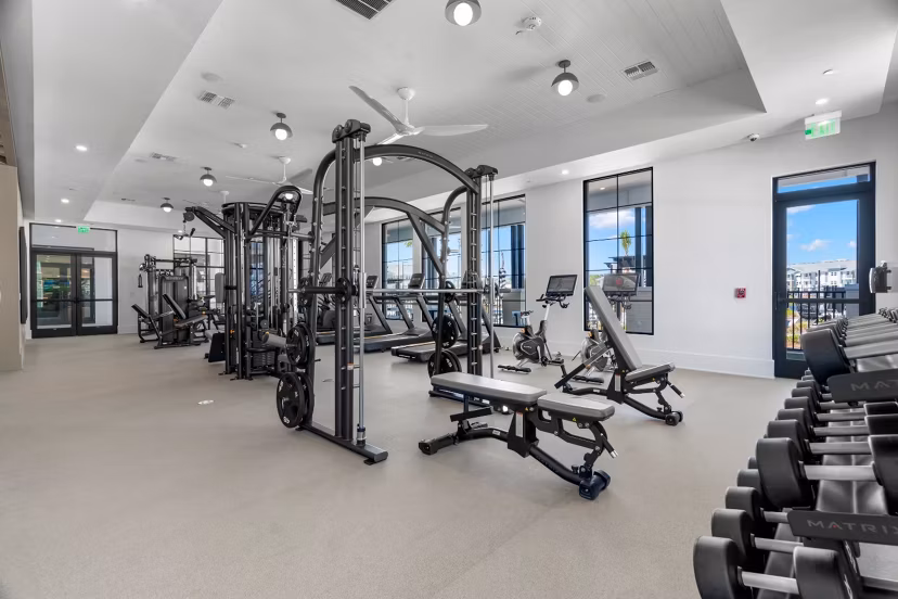 fitness center at Marlowe Live Oak Apartments 