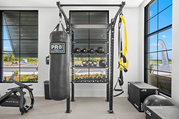 fitness center at Marlowe Live Oak Apartments 