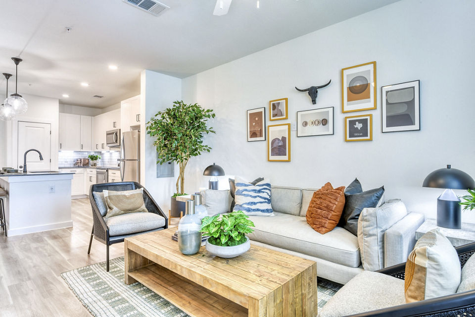 living room at Gateway to Gruene Apartment
