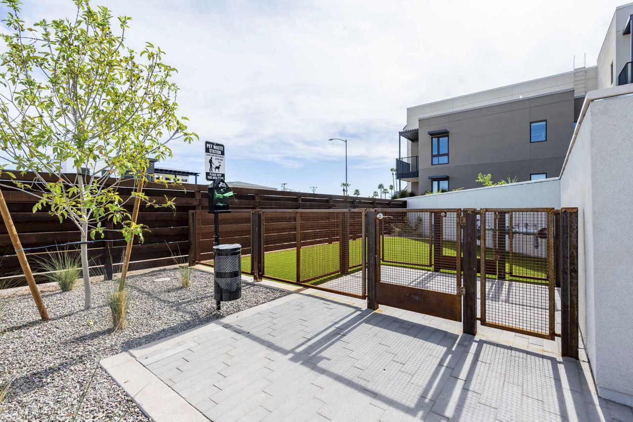 Dog park at Arista Mckinney