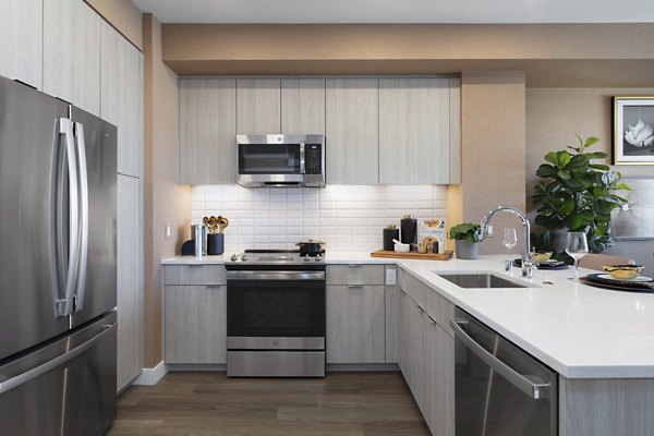 Modern kitchen with stainless steel appliances at Vasara Apartments