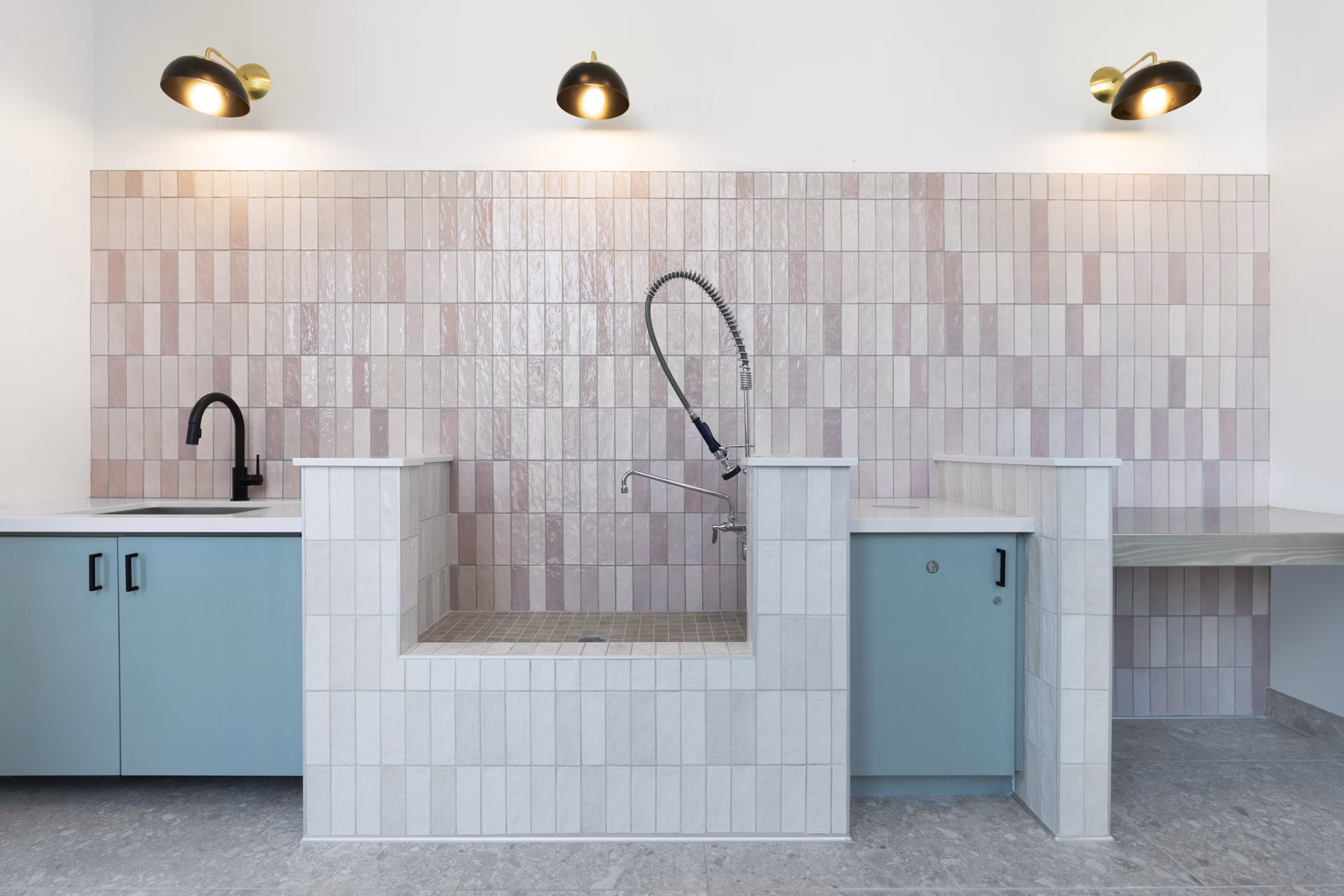 Convenient dog wash station for residents at Vasara Apartments