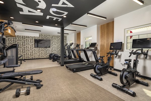 fitness center at Lumia Apartments 