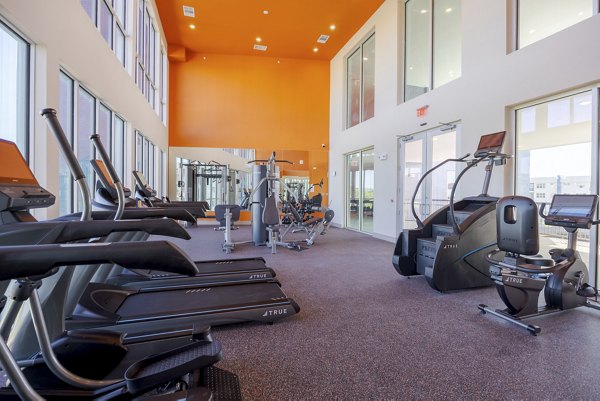 fitness center at The Janis Apartments