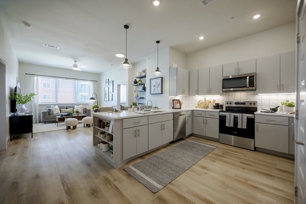 kitchen at The Janis Apartments