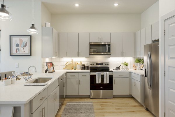 kitchen at The Janis Apartments