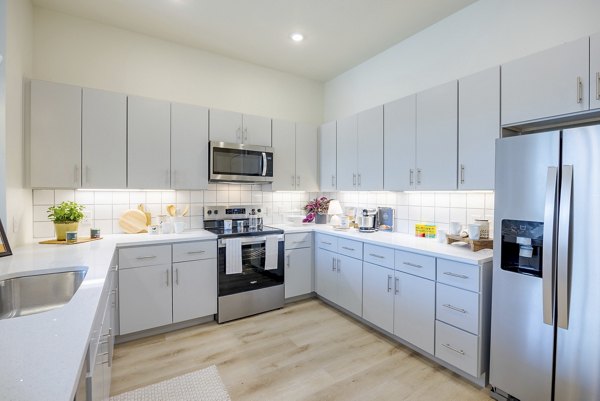 kitchen at The Janis Apartments