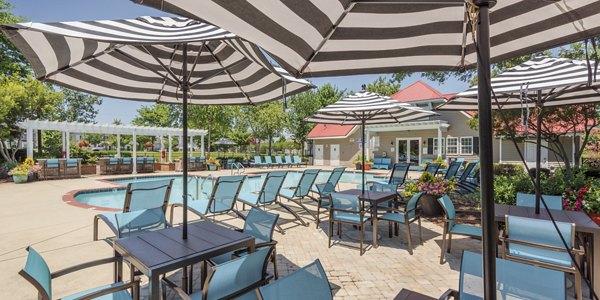 pool at Arbor Steele Creek Apartments