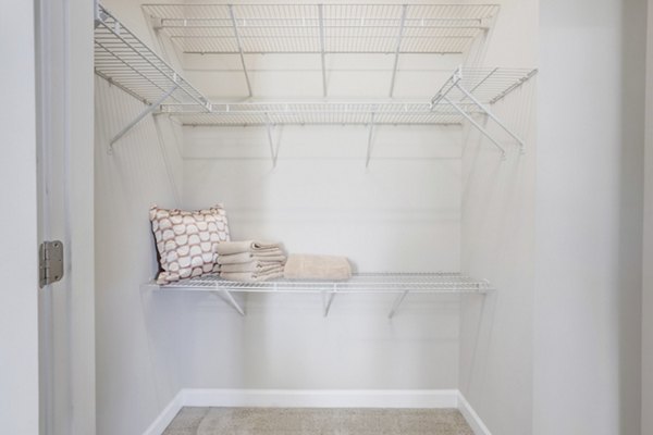 Walk-in closet with ample storage in Charleston Row Townhomes