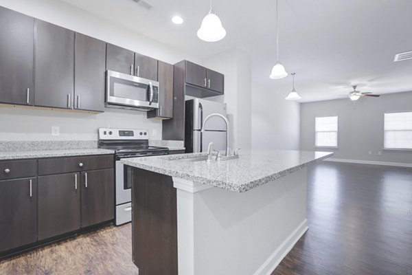 Modern kitchen with stainless steel appliances at Charleston Row Townhomes