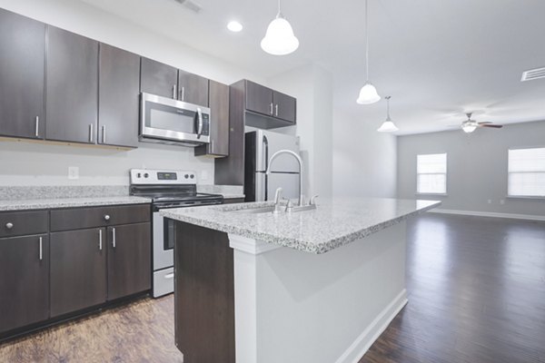 kitchen at Charleston Row Townhomes