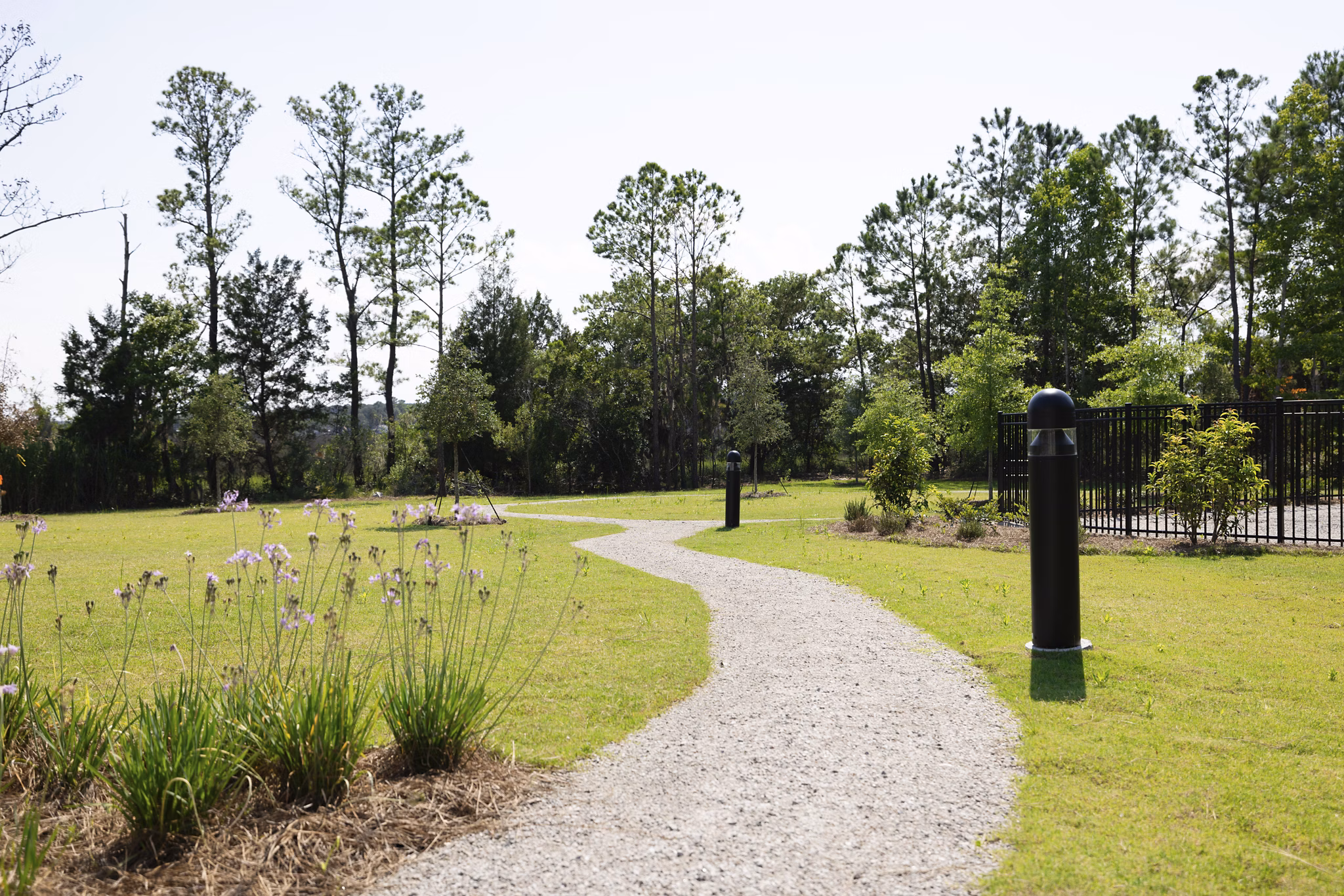 Scenic walking trail surrounded by lush greenery at Reve on the Creek Apartments, perfect for outdoor enthusiasts seeking tranquility and nature