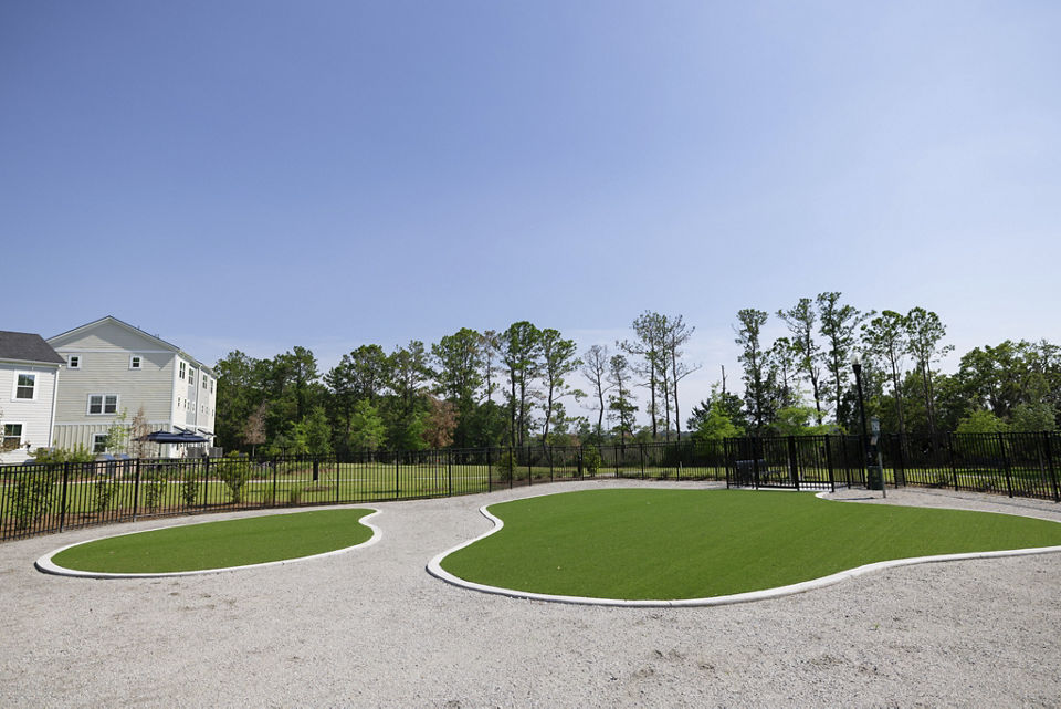 Practice putting green at Reve on the Creek Apartments offering luxurious leisure activities for residents