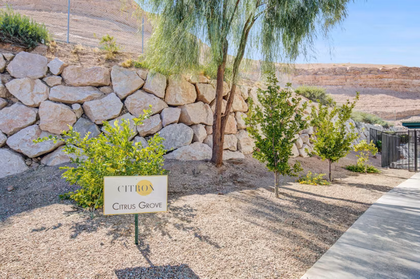 Courtyard with lush landscaping at Citron Apartments, offering luxury living spaces and relaxing outdoor areas in a vibrant community