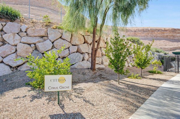 Courtyard with lush landscaping at Citron Apartments, offering luxury living spaces and relaxing outdoor areas in a vibrant community