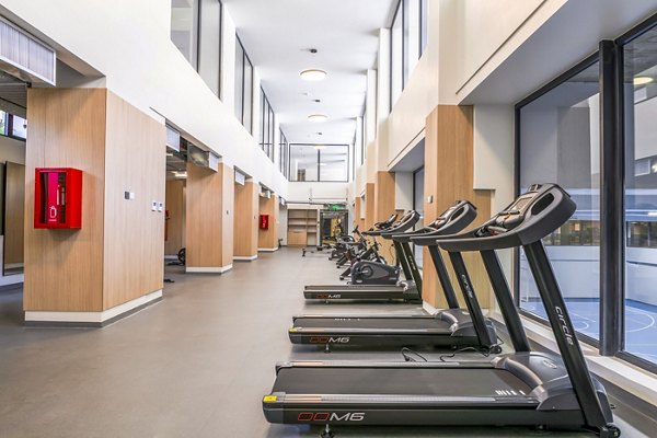 fitness center at Somma Ines de Suarez Apartments