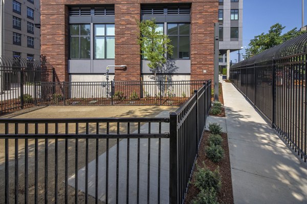 Spacious fenced-in dog park at Millhouse Apartments, perfect for pet-friendly living in our luxury community