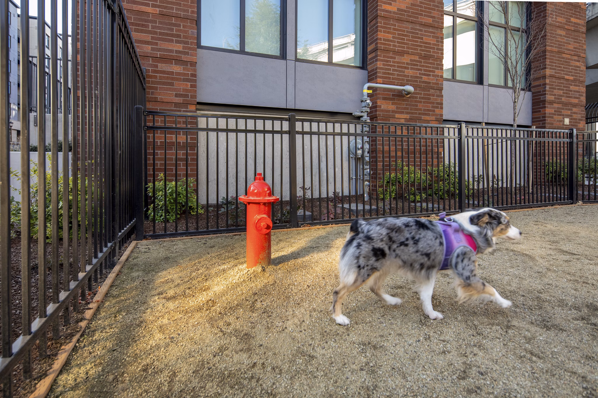 rendering at Millhouse Apartments