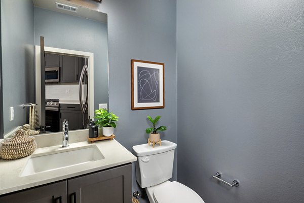 bathroom at Serena Village Apartments 