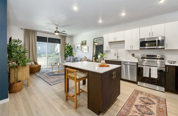 kitchen at Vine at Panorama Apartments