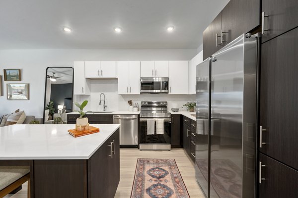 kitchen at Vine at Panorama Apartments