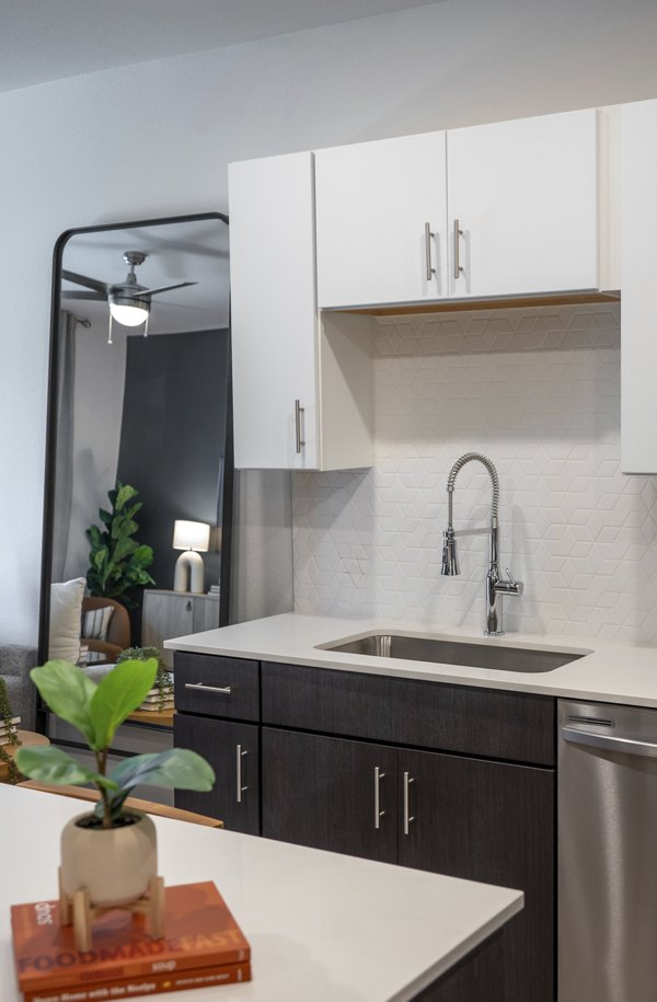 kitchen at Vine at Panorama Apartments