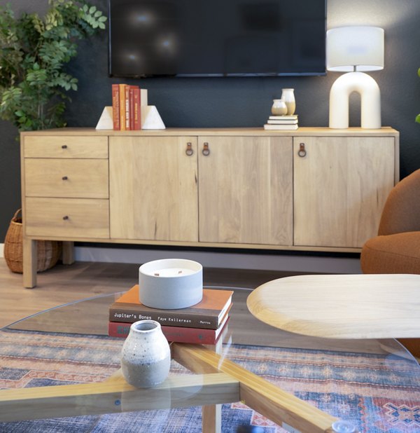 living room at Vine at Panorama Apartments