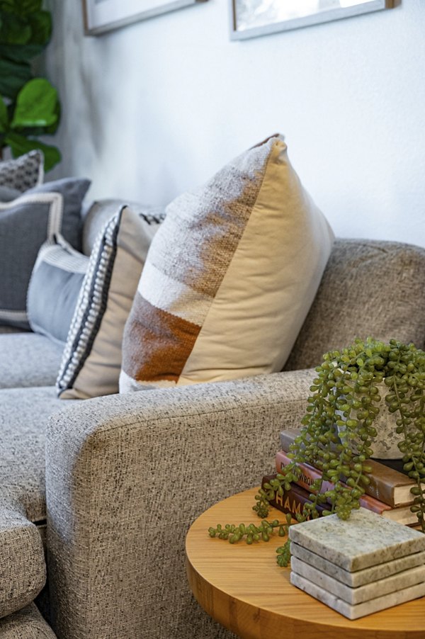 living room at Vine at Panorama Apartments