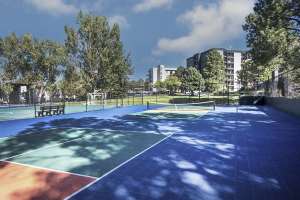 sport court at Vine at Panorama Apartments