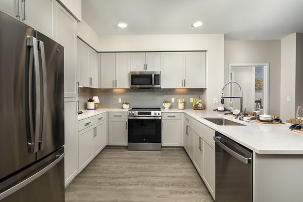 kitchen at Canopy Apartment 