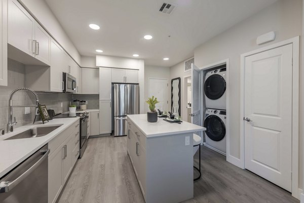 kitchen at Canopy Apartment 