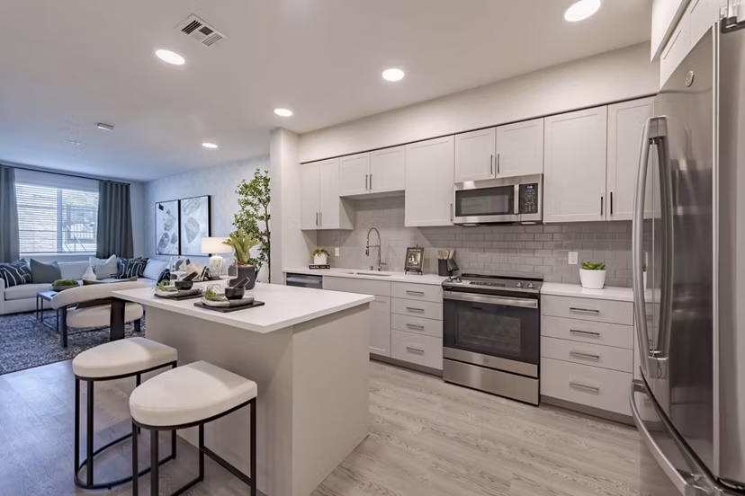 kitchen at Canopy Apartment 
