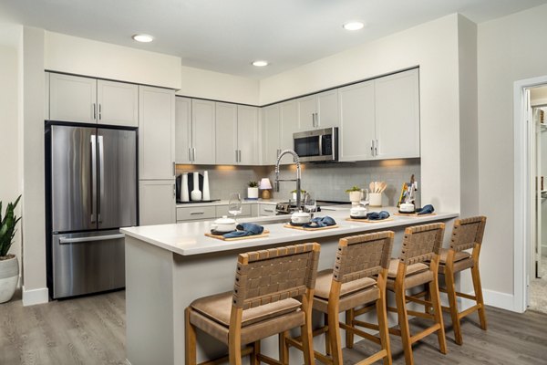 kitchen at Canopy Apartment 