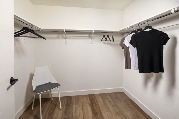 closet at The Wyatt Apartments