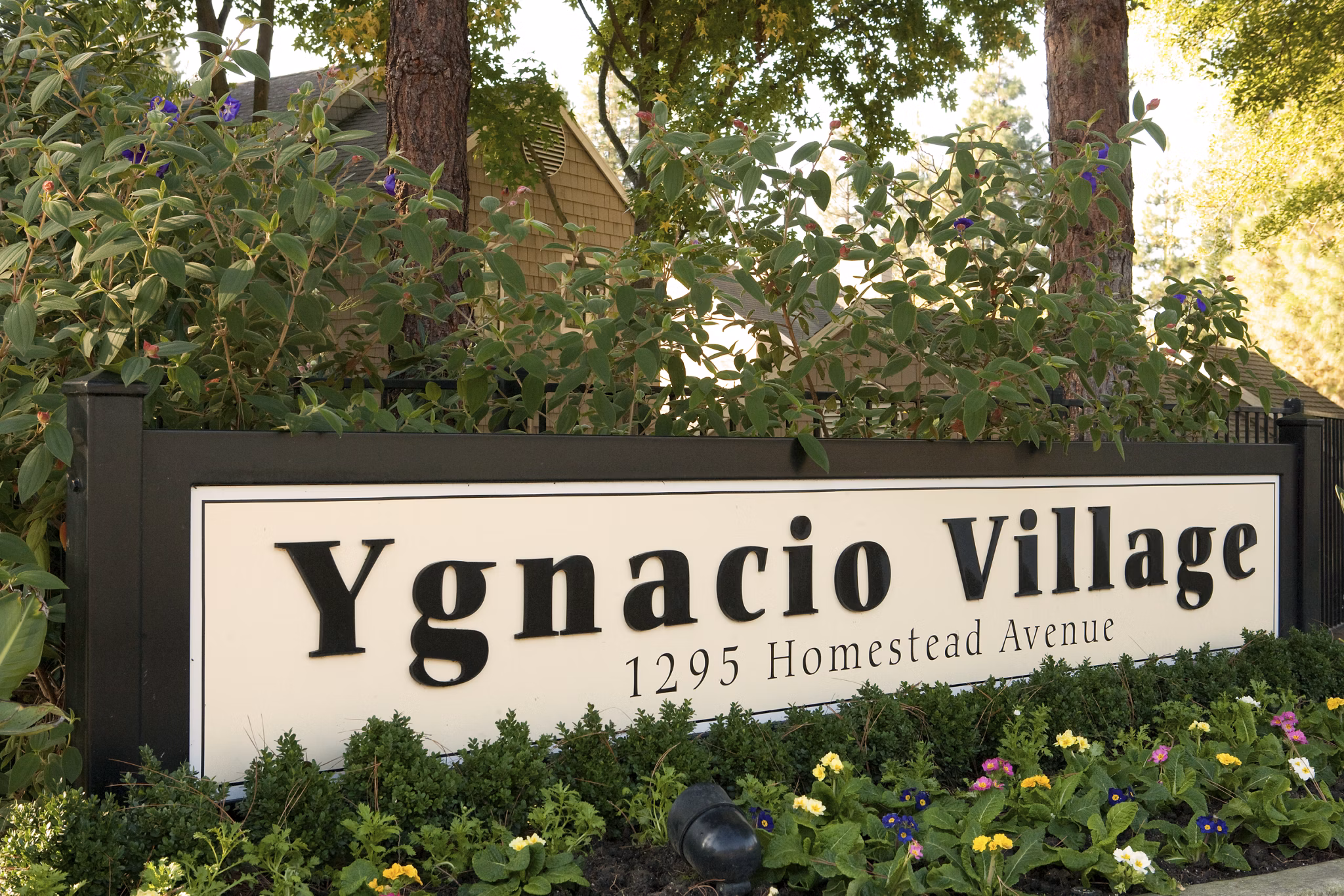 Ygnacio Village: Serene garden-style apartments in Walnut Creek