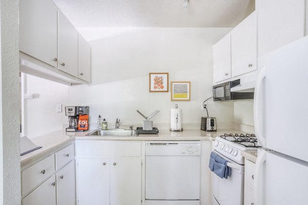 Contemporary kitchen with stainless steel appliances at Ygnacio Village Apartments, ideal for luxury living