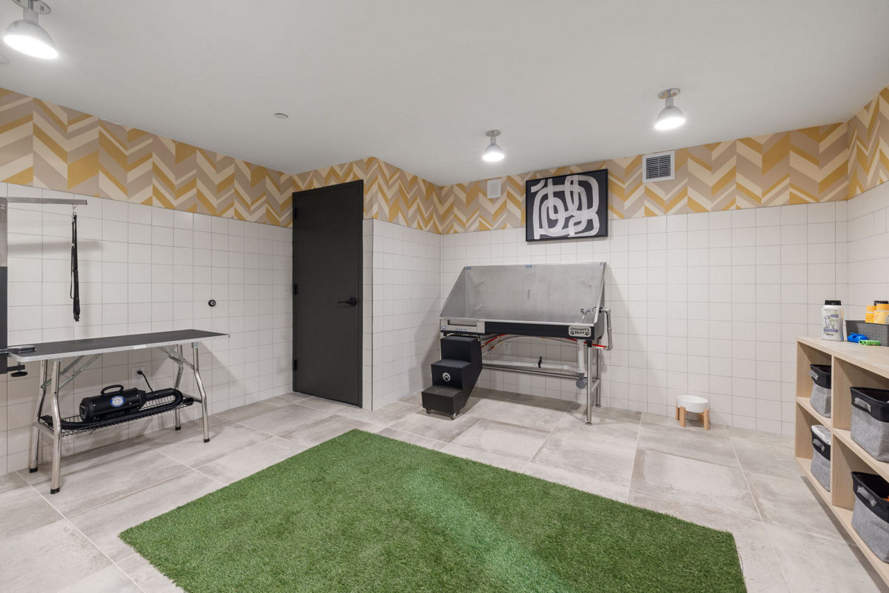 Pet wash at The Miles