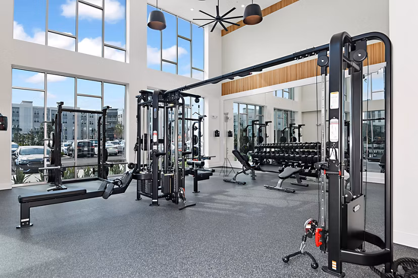 fitness center at Apollo Apartments 