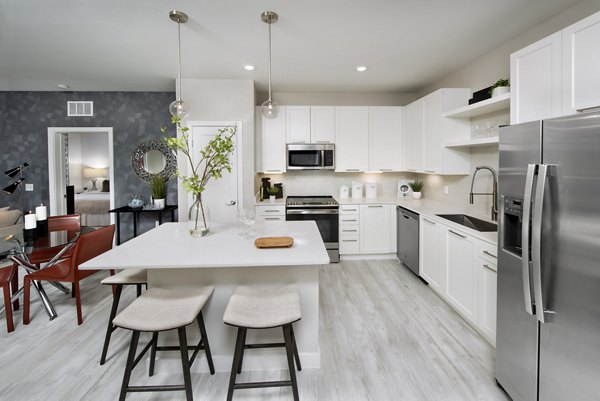 Modern kitchen with stainless steel appliances and granite countertops at SUR Lake Buena Vista Apartments