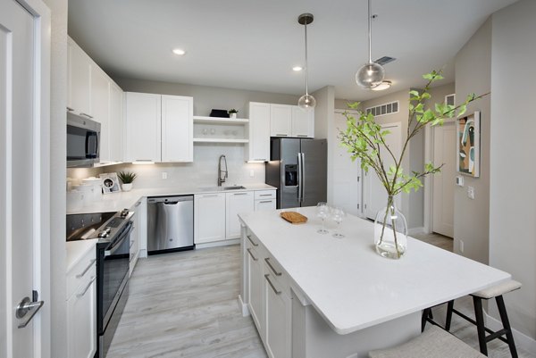 Modern kitchen with stainless steel appliances at SUR Lake Buena Vista Apartments in Orlando, offering contemporary luxury living