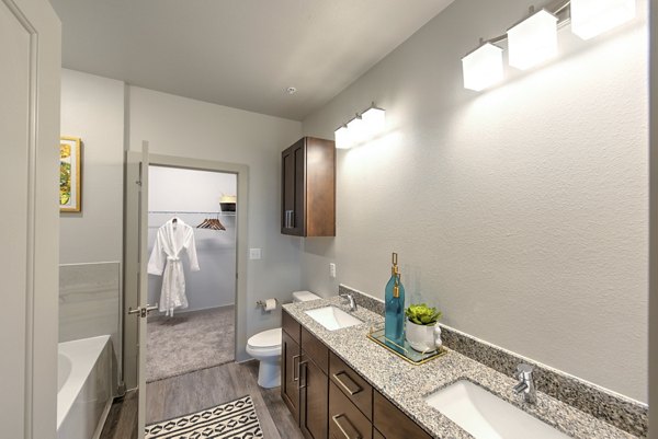 bathroom at The Pointe at Valley Ranch Town Center Apartments