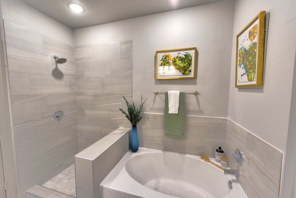 bathroom at The Pointe at Valley Ranch Town Center Apartments